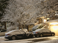 Snow falling in Toronto, Ontario, Canada, on January 22, 2023.  (