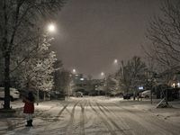 Snow falling in Toronto, Ontario, Canada, on January 22, 2023. (