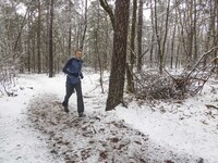 A man as seen running in the snow. Snow in the forest of Cartierheide near Eindhoven. Snow covers North Brabant region in the Netherlands. R...