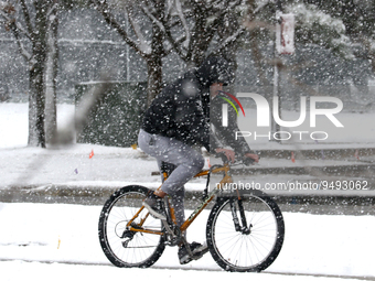 A man rides a bicycle on the snow covered sidewalk amid heavy snow fall at Norman, Oklahoma, USA. 24 January 2023. (