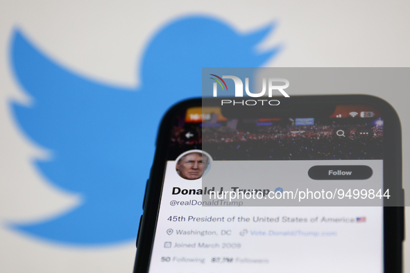Donald Trump account on Twitter displayed on a phone screen and Twitter logo displayed on a screen in the background are seen in this illust...