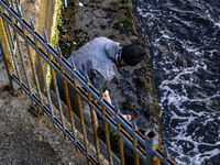 

A man is collecting mussels from the rocks of the sea in Karakoy, Istanbul, Turkey, on February 17, 2023 (