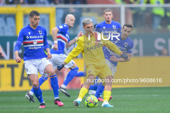 Filip Djuricic (Sampdoria) - Nicolas Martin Dominguez (Bologna) - Harry Billy Winks (Sampdoria) during the italian soccer Serie A match UC S...