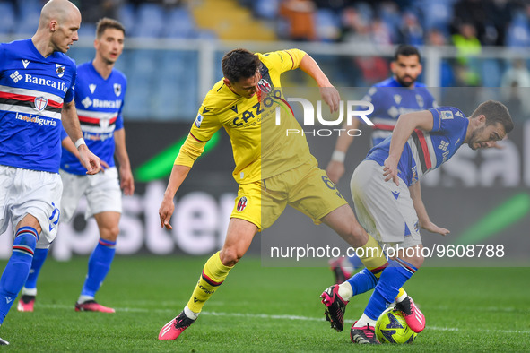 Nikola Moro (Bologna) - Harry Billy Winks (Sampdoria) during the italian soccer Serie A match UC Sampdoria vs Bologna FC on February 18, 202...