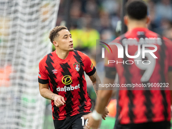 Marcus Tavernier of Bournemouth (L) celebrates scoring their side's first goal of the game during the Premier League match between Wolverham...