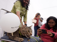 People click a picture of a cat during a show organized at one of the biggest pet-gathering events in Noida, on the outskirts of New Delhi,...