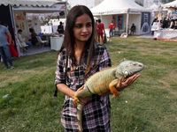 A woman holds an Iguana during one of the biggest pet-gathering events organized in Noida, on the outskirts of New Delhi, India on February...