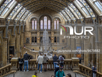 A general view of the Hintze Hall, inside the Natural History Museum, Cromwell Road, South Kensington, London SW7 on Monday 27th February 20...