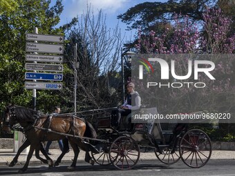 

A horse-drawn carriage is seen walking along one of the streets in the historical area of Sintra, Portugal, on March 3, 2023. Sintra stand...