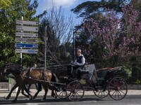 

A horse-drawn carriage is seen walking along one of the streets in the historical area of Sintra, Portugal, on March 3, 2023. Sintra stand...