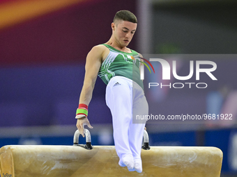 Rhys McClenaghan of Ireland competes during the men's pommel horse final at the 15th FIG Artistic Gymnastics World Cup in Doha, Qatar, on 03...