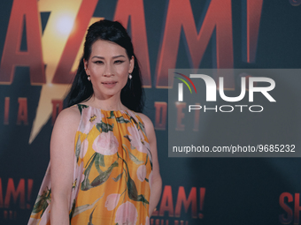  Lucy Liu attends the premiere for ''Shazam! Fury Of The Gods'' at The Space Cinema Moderno on March 03, 2023 in Rome, Italy. (