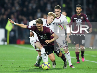 Jerdy Schouten of Bologna FC and Emil Bohinen of US Salernitana compete for the ball during the Serie A match between US Salernitana and Bol...