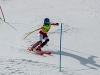 Marco SCHWARZ of Austria in action during Audi FIS Alpine Ski World Cup 2023 Slalom Discipline Men's Downhill on March 19, 2023 in El Tarter...