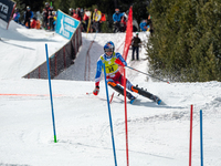 Skiers in action during Audi FIS Alpine Ski World Cup 2023 Slalom Discipline Men's Downhill on March 19, 2023 in El Tarter, Andorra. (