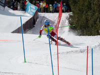 Dave RYDING of GBR in action during Audi FIS Alpine Ski World Cup 2023 Slalom Discipline Men's Downhill on March 19, 2023 in El Tarter, Ando...