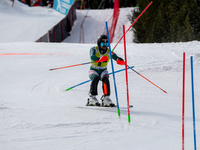 Albert POPOV of Bulgaria in action during Audi FIS Alpine Ski World Cup 2023 Slalom Discipline Men's Downhill on March 19, 2023 in El Tarter...