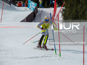 Linus STRASSER of Germany in action during Audi FIS Alpine Ski World Cup 2023 Slalom Discipline Men's Downhill on March 19, 2023 in El Tarte...