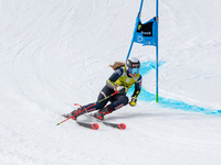 Hanna ARONSSON ELFMAN of Sweden in action during Audi FIS Alpine Ski World Cup 2023 Super L Discipline Women's Downhill on March 16, 2023 in...