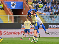 Pawe? Marek Dawidowicz (Verona) - Bram Johan Andre Nuytinck (Sampdoria) during the italian soccer Serie A match UC Sampdoria vs Hellas Veron...