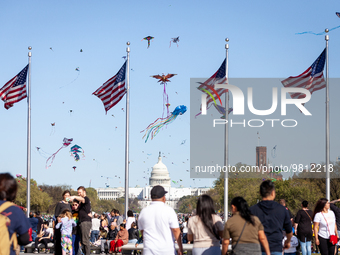 Hundreds of kites fly along the National Mall on a sunny, windy afternoon during the annual Cherry Blossom Festival.  The month-long festiva...