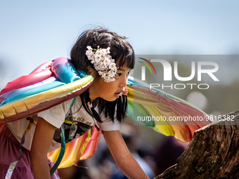 A young girl in rainbow wings climbs a cherry tree during the annual Cherry Blossom Festival.  The month-long festival celebrates Japan’s 19...