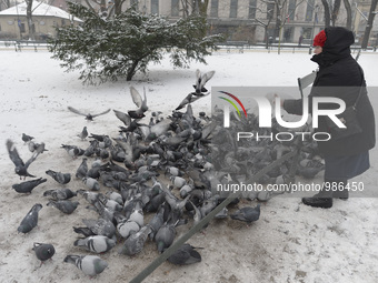 A lady feeds pigeons with bread crumbs in Krakow's Planty Park as the temperature remains below 0 degrees Celsius.
Krakow, Poland, on Wednes...