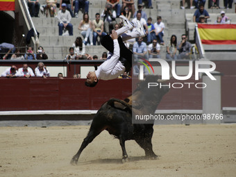 A ''recortador'' jumps over a bull during a bullfight in Madrid, Spain, Friday, May 2, 2014. 'Recortadores' is a bloodless type of bullfight...