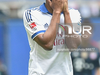 Michael Mancienne of Hamburg  is frustated during the Bundesliga match between Hamburger SV and FC Bayern at Imtech-Arena on May 03, 2014 in...