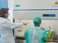Health workers in personal protective equipment PPE are conducting COVID-19 PCR tests procedure in the laboratory of the Hellenic National B...
