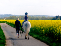 

A horse rider is seen passing a rapeseed field in Wesseling, Germany, on April 26, 2023 (