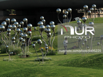 Daily Life In New Delhi