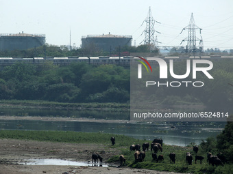 Daily Life In New Delhi