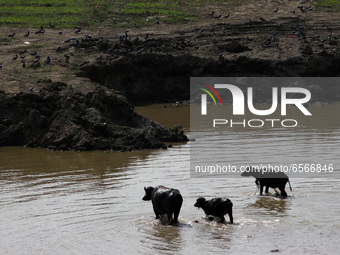 Daily Life In New Delhi