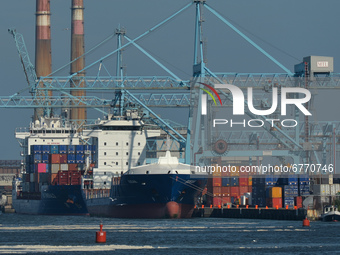 Daily Life In Dublin