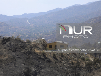 CYPRUS FOREST FIRE