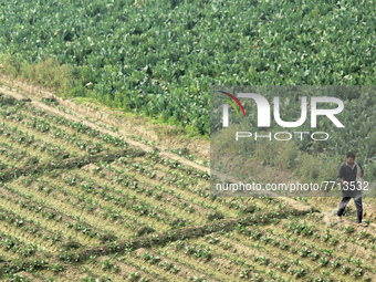 INDIA-SOCIETY-AGRICULTURE