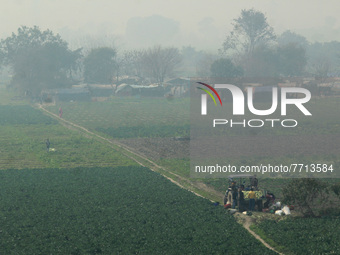 INDIA-SOCIETY-AGRICULTURE