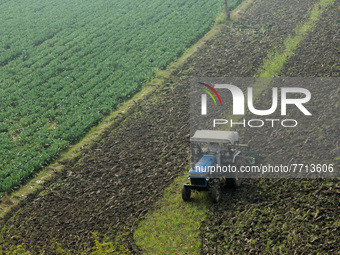 INDIA-SOCIETY-AGRICULTURE