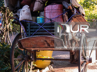 Disney's Animal Kingdom