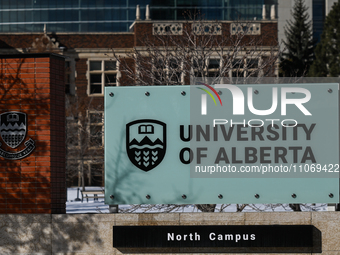 Daily Life In Edmonton