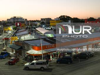 Daily Life In Edmonton