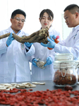 Agricultural Biotechnology in Zhangye.