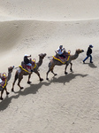 Camel Riding Tour in Bazhou.
