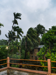 Cyclone Remal Damage