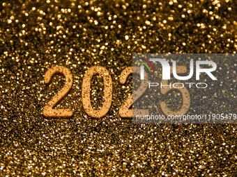 Happy New Year 2025 Illustrations