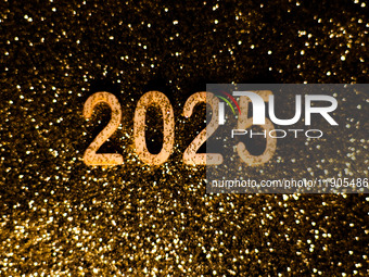 Happy New Year 2025 Illustrations