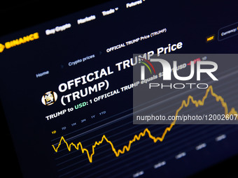 Trump Crypto Illustrations