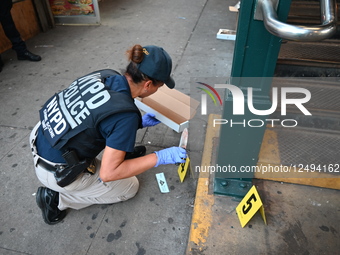 33-year-old Man Fatally Stabbed In The Area Of Livonia Avenue And Cleveland Street