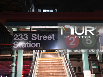 28-year-old Man Stabbed To The Right Side Of The Chest And Four Times On The Back Of The Neck At 233 Street MTA Subway Station